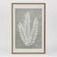 Ferns Wall Art Set 6