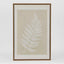 Ferns Wall Art Set 6