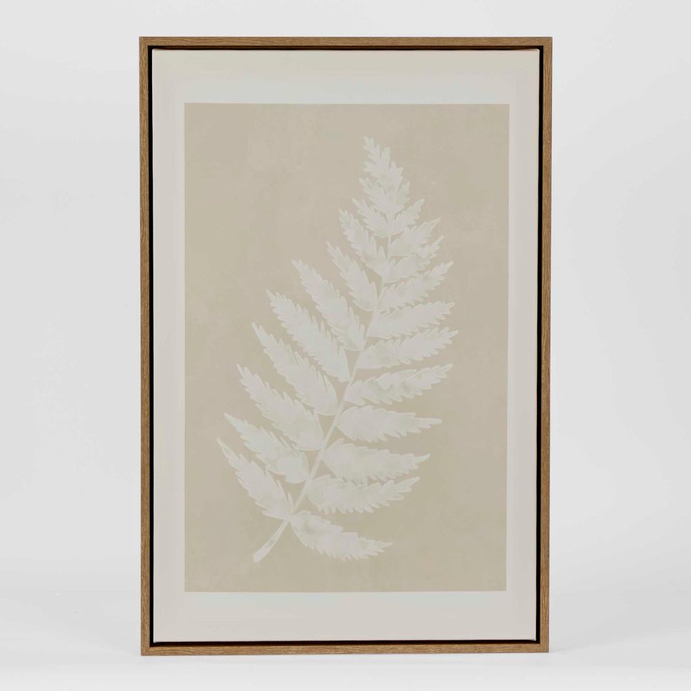 Ferns Wall Art Set 6