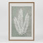 Ferns Wall Art Set 6