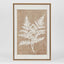 Ferns Wall Art Set 6