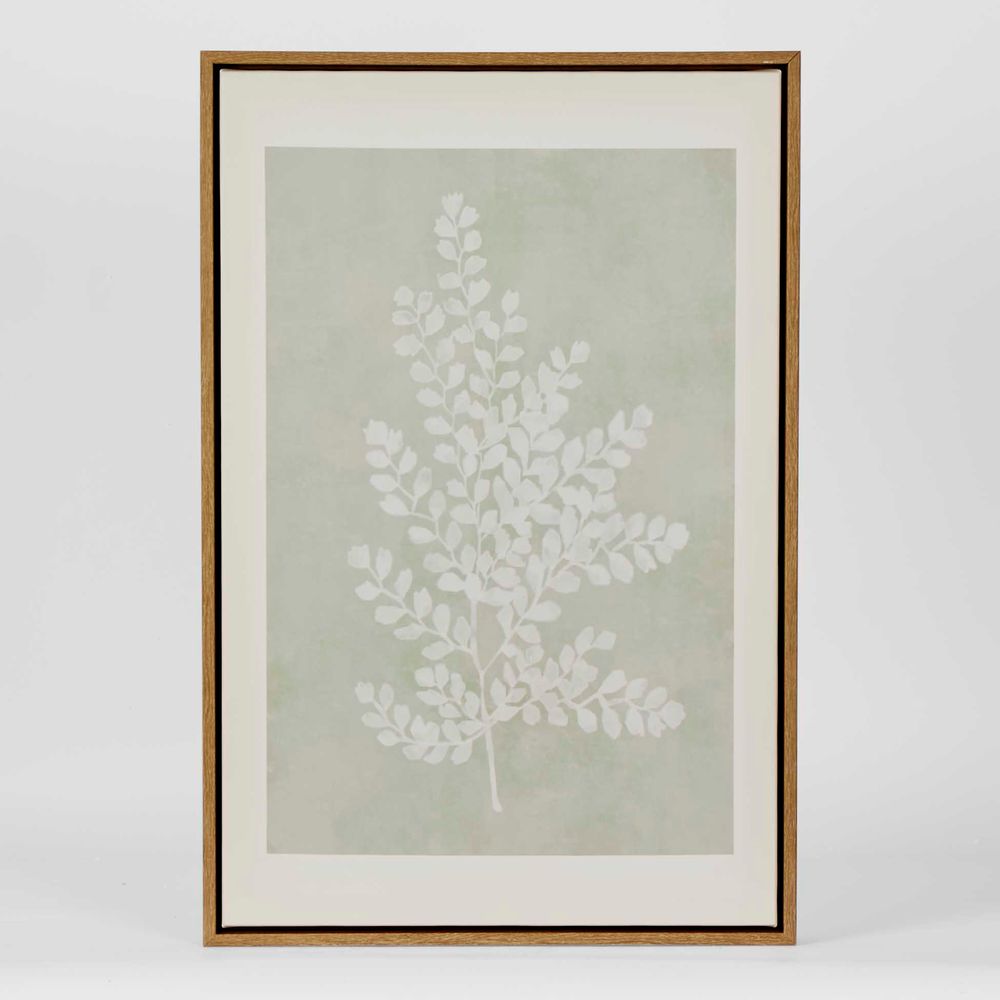 Ferns Wall Art Set 6