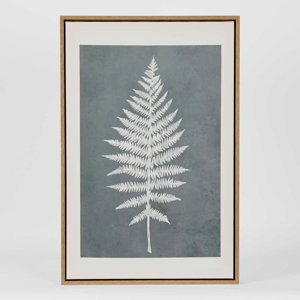 Ferns Wall Art Set 6