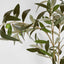Olive Leaf spray Branch 115cm