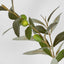 Olive Leaf Spray 76cm