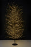 Black Forest Light Up Tree Extra Large 210cm