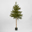 Scandi Spruce Tree 180cm