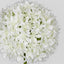 Allium Flower White