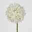 Ball Head Hydrangea White