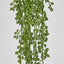 Real Touch Senecio Hanging Vine 73cm