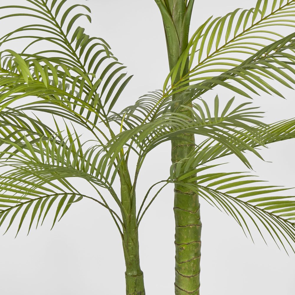 Double Stem Palm Tree 218cm