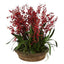 Willow Red Dancing Orchid Arrangement