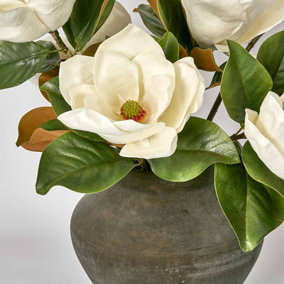 Landis Magnolia Medium Arrangement