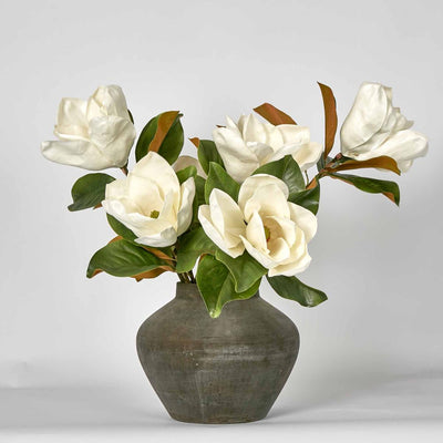 Landis Magnolia Medium Arrangement