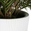 Bamboo Leaf Cluster Small Planter