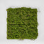 Moss Mat 40X40cm