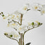 Real Touch Phalaenopsis Arrangement in Zara Pot 58cm