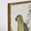 Jungle Parrot Wall Art B