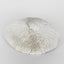 Sofi White Sea Urchin 19X17X5CM