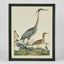 Graceful Cranes Wall Art A