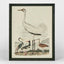 Graceful Cranes Wall Art C