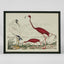 Graceful Cranes Wall Art F