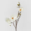 Magnolia With Full Blooms White 105cm