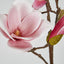 Magnolia With Full Blooms Pink 110cm