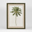 Apia Palms Wall Art A