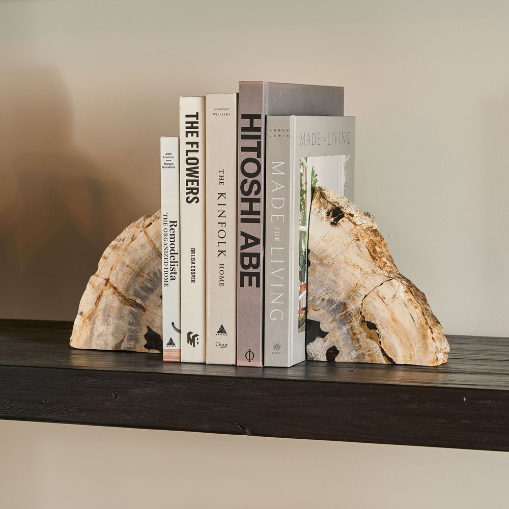 Cinagara Petrified Wood Bookends Set