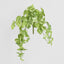 Marble Pothos Hanging Bush x 8 79 leaves