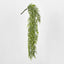 Green Eucalyptus Hanging Bush x 6