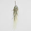Ivory White Hanging Wheat Bush - Pack of 12