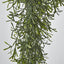 66cm Green Springeri Hanging Vine x5