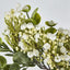 Flowering Bush White