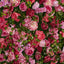 Fuchsia Hot Pink Rose Camelia Blossom Wall 120x240cm