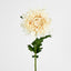 Chrysanthemum 76cm Cream - Pack of 24