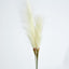 Pampas Grass Spray 3 Stems Cream - Pack of 24