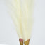 Pampas Grass Spray 3 Stems Cream - Pack of 24