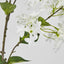 Blossom Spray 98cm White - Pack of 12