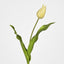 Soft Touch Tulip Stem Yellow - Pack of 12