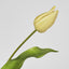 Soft Touch Tulip Stem Yellow - Pack of 12