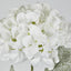 Snow Covered White Christmas Hydrangea with 2 Leaves - Pack of 12
