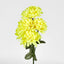 Chrysanthemum Bush 4 Colours Box of 60