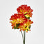 Chrysanthemum Bush 4 Colours Box of 60