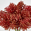 Pine Berry Bunch 20cm Red