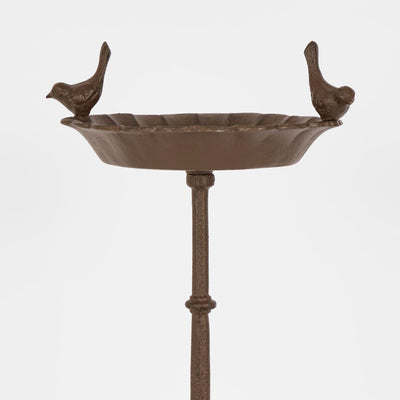 Bird Bath On Stand