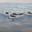 Seagulls Painting Wall Art