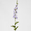 Bella Single Head Delphinium Lavender - Pack of 12
