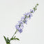 Bella Single Head Delphinium Lavender - Pack of 12